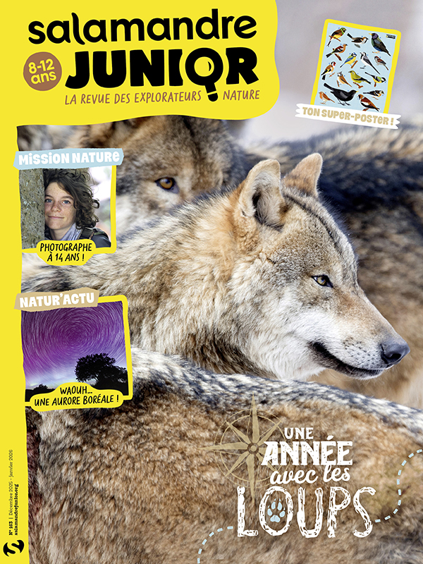 Une année avec les loups (n°163)