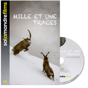 1001 traces (DVD)