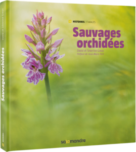 Sauvages orchidées