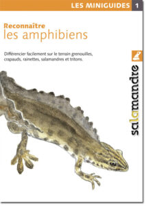 Miniguide 1 : Les amphibiens