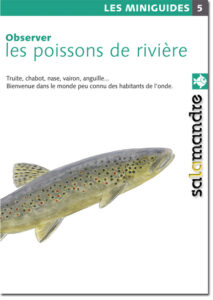 Miniguide 5 : Les poissons de rivière