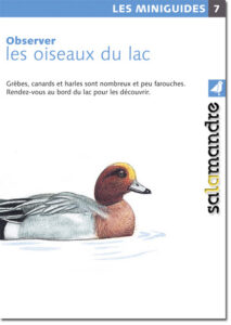 Miniguide 7 : Les oiseaux du lac