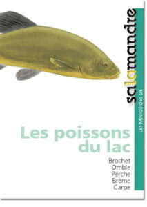 Miniguide 9 : Les poissons du lac