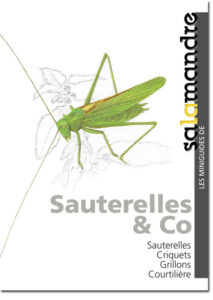 Miniguide 12 : Sauterelles & Co
