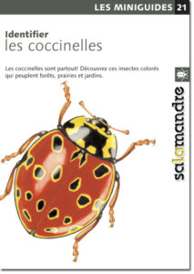 Miniguide 21 : Identifier les coccinelles