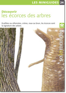 Miniguide 24: Découvrir les écorces des arbres