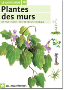 Miniguide 28 : Plantes des murs