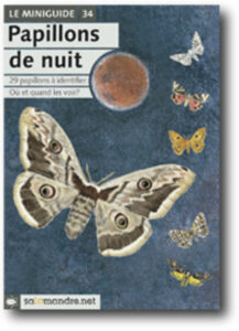 Miniguide 34: Papillons de nuit