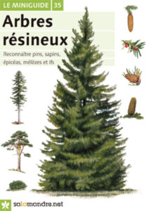 Miniguide 35: Arbres résineux