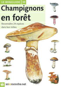 Miniguide 39: Champignons en forêt