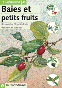 Miniguide 40 : Baies et petits fruits