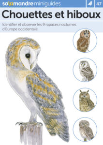 Miniguide 47 : Chouettes et Hiboux