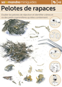 Miniguide 48 : Pelotes de rapaces