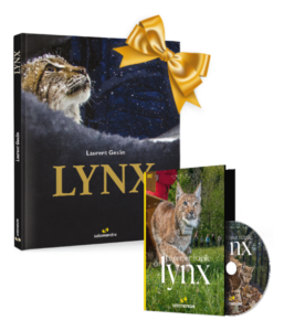 Pack Lynx
