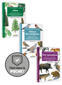 Pack Petits Livres de la nature Arbres/Oiseaux/Mammifères