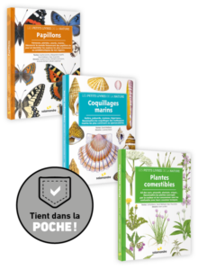 Pack Petits livres de la nature Coquillages/Papillons/Plantes comestibles