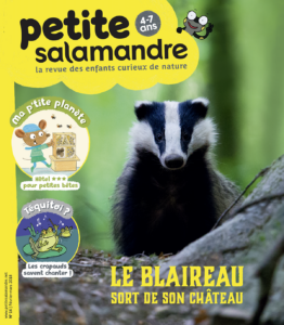Le blaireau sort de son château (n° 16)