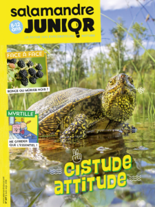 Cistude attitude (n°107)