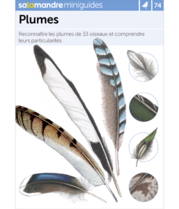 Miniguide 74 : Identifier les plumes
