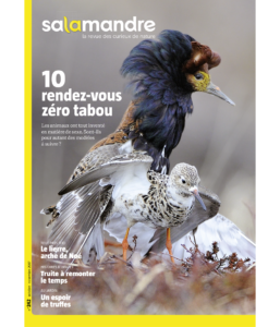 10 rendez-vous, 0 tabou (n°242)