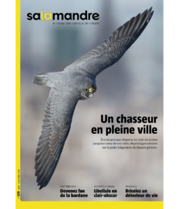 Un chasseur en pleine ville (n°229)