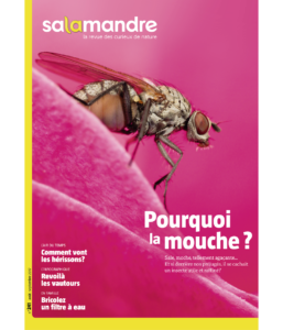 Pourquoi la mouche ? (n°241)