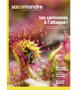 Les carnivores à l'attaque ! (n°228)