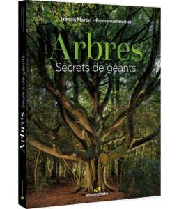 Arbres, secrets de géants