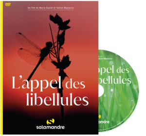 DVD L'appel des libellules