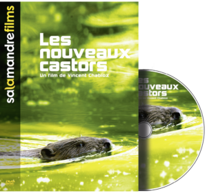 Les nouveaux castors (DVD)