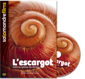 L'escargot dans la spirale du temps (DVD)