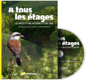 A tous les étages (DVD)