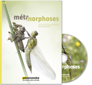 Métamorphoses (DVD)