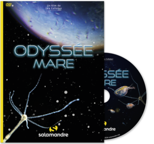 Odyssée mare (DVD)
