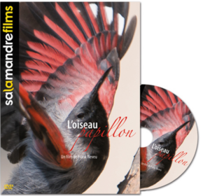 L'oiseau papillon (DVD)