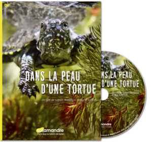 Dans la peau d'une tortue (DVD)