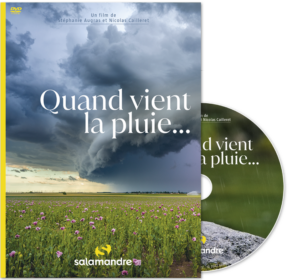 Quand vient la pluie… (DVD)