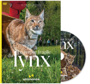 Le retour fragile du lynx (DVD