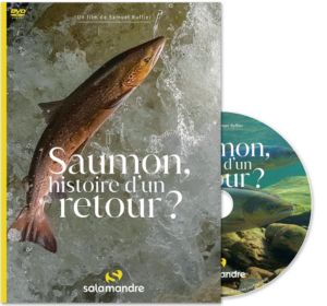 Saumon, histoire d'un retour? (DVD)