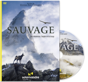 Sauvage, le chamois, l'aigle et le loup (DVD)