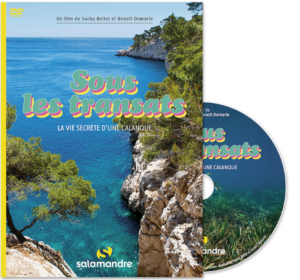 Sous les transat - La vie secrète d'une calanque (DVD)