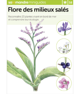 Miniguide 58 : Flore des milieux salés