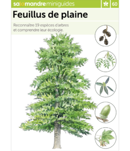 Miniguide 60 : Feuillus de plaine