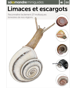 Miniguide 66 : Limaces et escargots