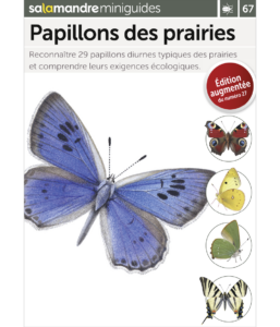 Miniguide 67 : papillons des prairies