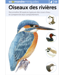 Miniguide 68 : Oiseaux des rivières