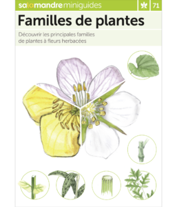 Miniguide 71 : Familles de plantes