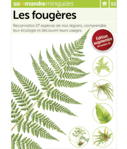 Miniguide 93 : Les fougères