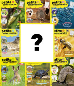 Numéro découverte Petite Salamandre