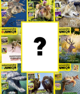 Numéro découverte Salamandre Junior